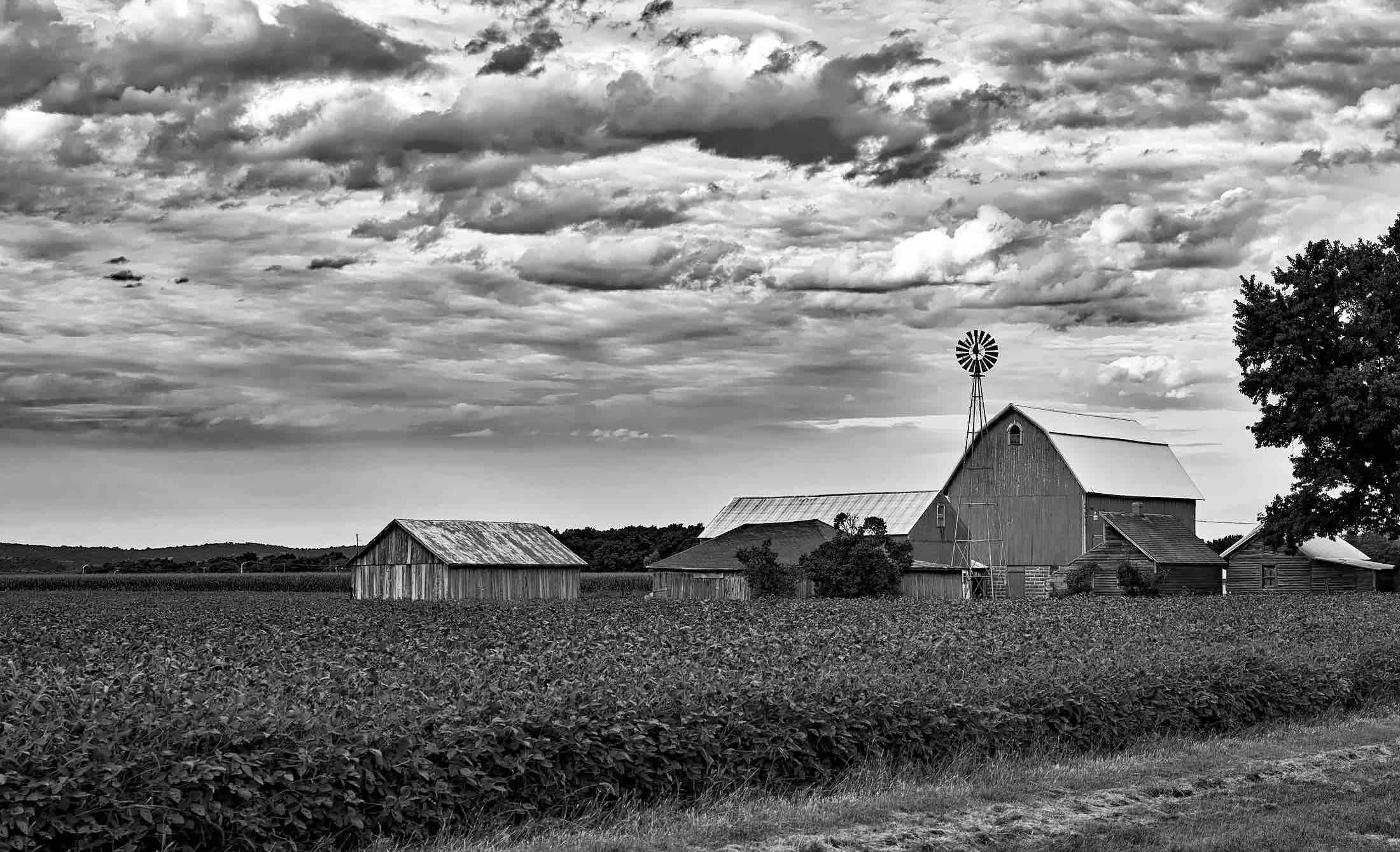 Old barn and farming buildings next to open corn field